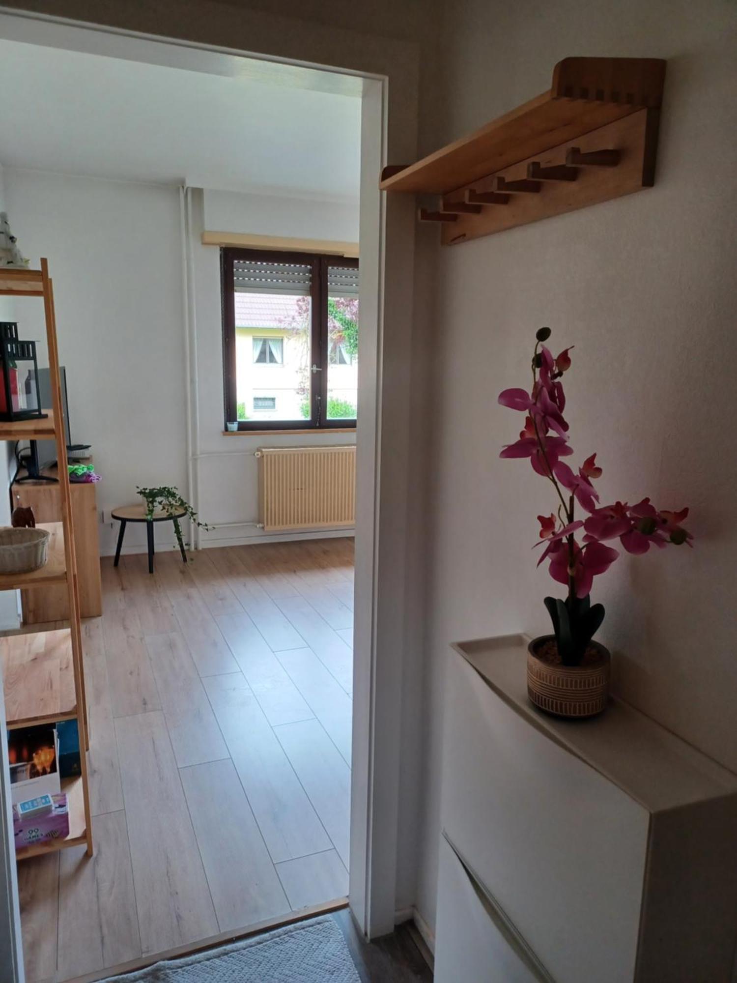 Studio Rdc Calme Avec Parking Ferme Pres Autoroute Et Tram C Mulhouse Dış mekan fotoğraf