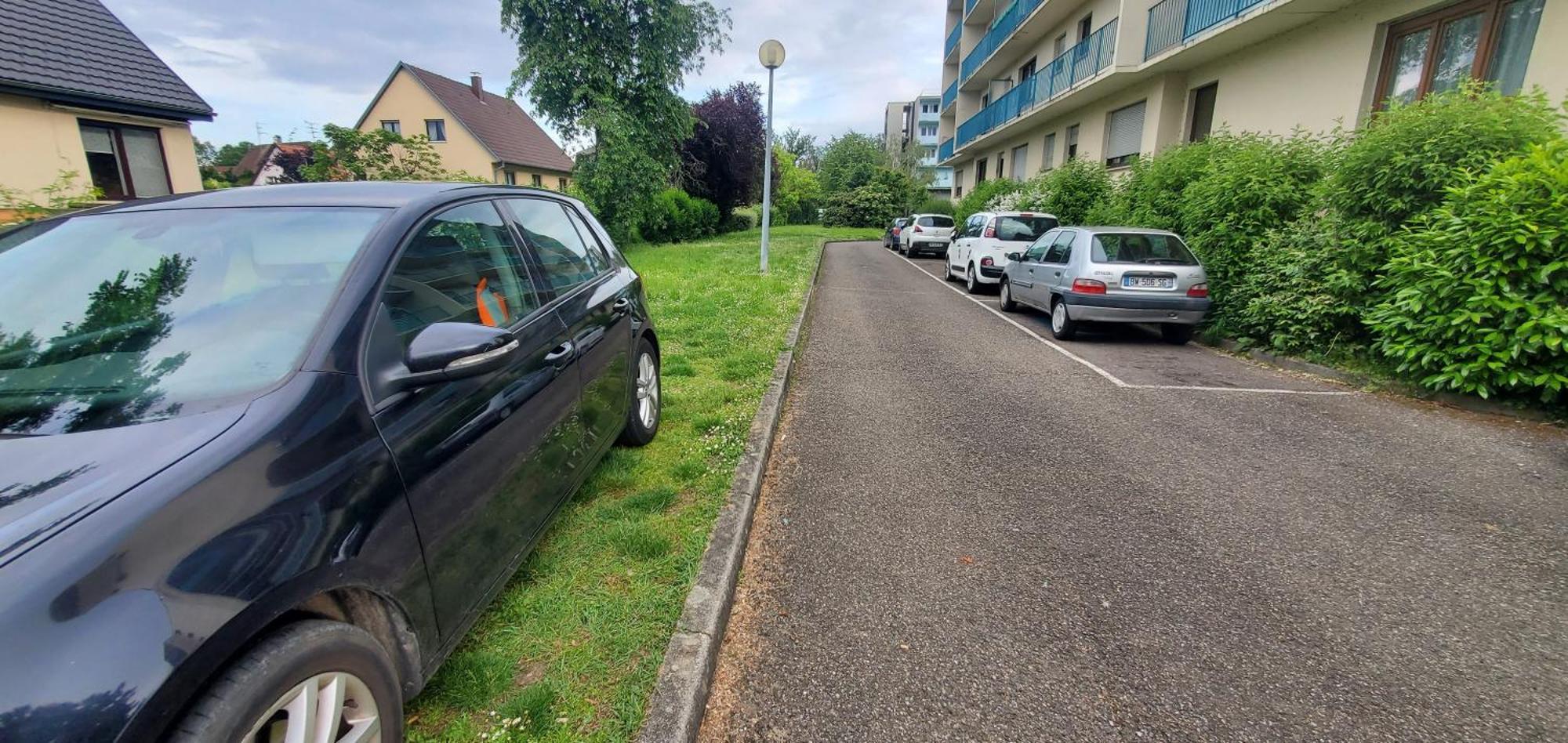 Studio Rdc Calme Avec Parking Ferme Pres Autoroute Et Tram C Mulhouse Dış mekan fotoğraf